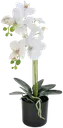 Finnmari Orkidea 55 cm ruukussa valkoinen