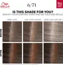 Wella Professionals Color Touch Brown Medium Maple Brown 6/71 kotiväri 130 ml