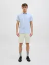 Jack & Jones Jpstfury shortsit