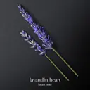 Giorgio Armani Code EdT tuoksu täyttöpakkaus 150 ml