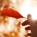 Maison Margiela Replica Autumn Vibes EdT tuoksu 100 ml