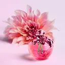 Nina Ricci Nina Illusion EdT tuoksu 30 ml