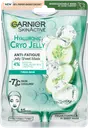 Garnier SkinActive Hyaluronic Cryo Jelly Sheet Mask kangasnaamio 27g