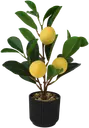 Decoris Sisustuskasvi Sitruuna ruukussa siustuskasvi k 27cm keltainen