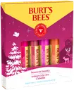 Burt's Bees  Bounty Fruit huulivoidesetti