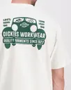 Dickies Gordonsville t-paita