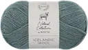 Novita lanka Icelandic Wool 50 g haikeus 301