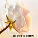 DIOR Prestige Le Baume Démaquillant puhdistusvoide 150 ml