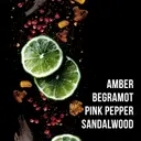 Sebastian Man The Smoother Conditioner hoitoaine 250 ml