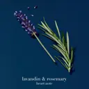 Giorgio Armani Acqua di Gio Profondo EdP tuoksu 30 ml