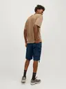 Jack & Jones Jpstcole barkley shortsit