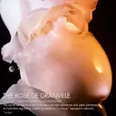 DIOR Prestige La Lotion Essence de Rose emulsio 150 ml