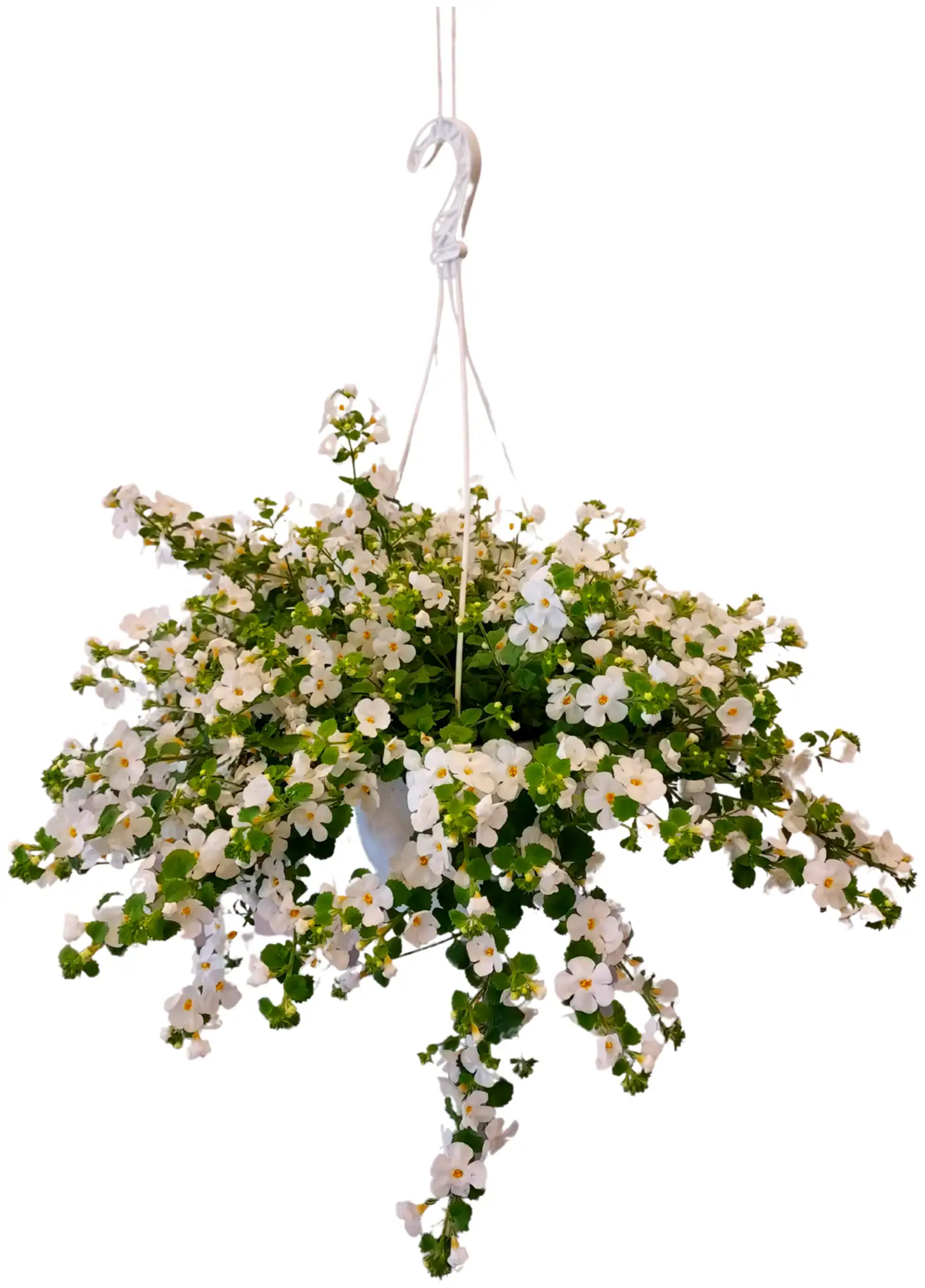 Heimosen Puutarha Lumihiutale-amppeli 23cm - 1