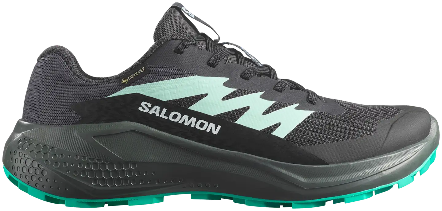 Salomon naisten maastojuoksukengät Alphaglide GTX - phantom/urban chic/waterfall - 1