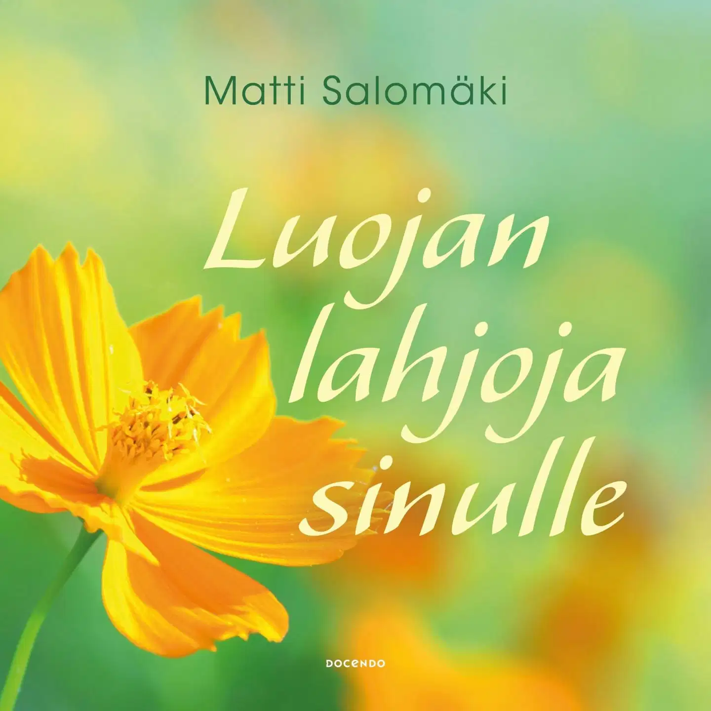 Salomäki, Luojan lahjoja sinulle