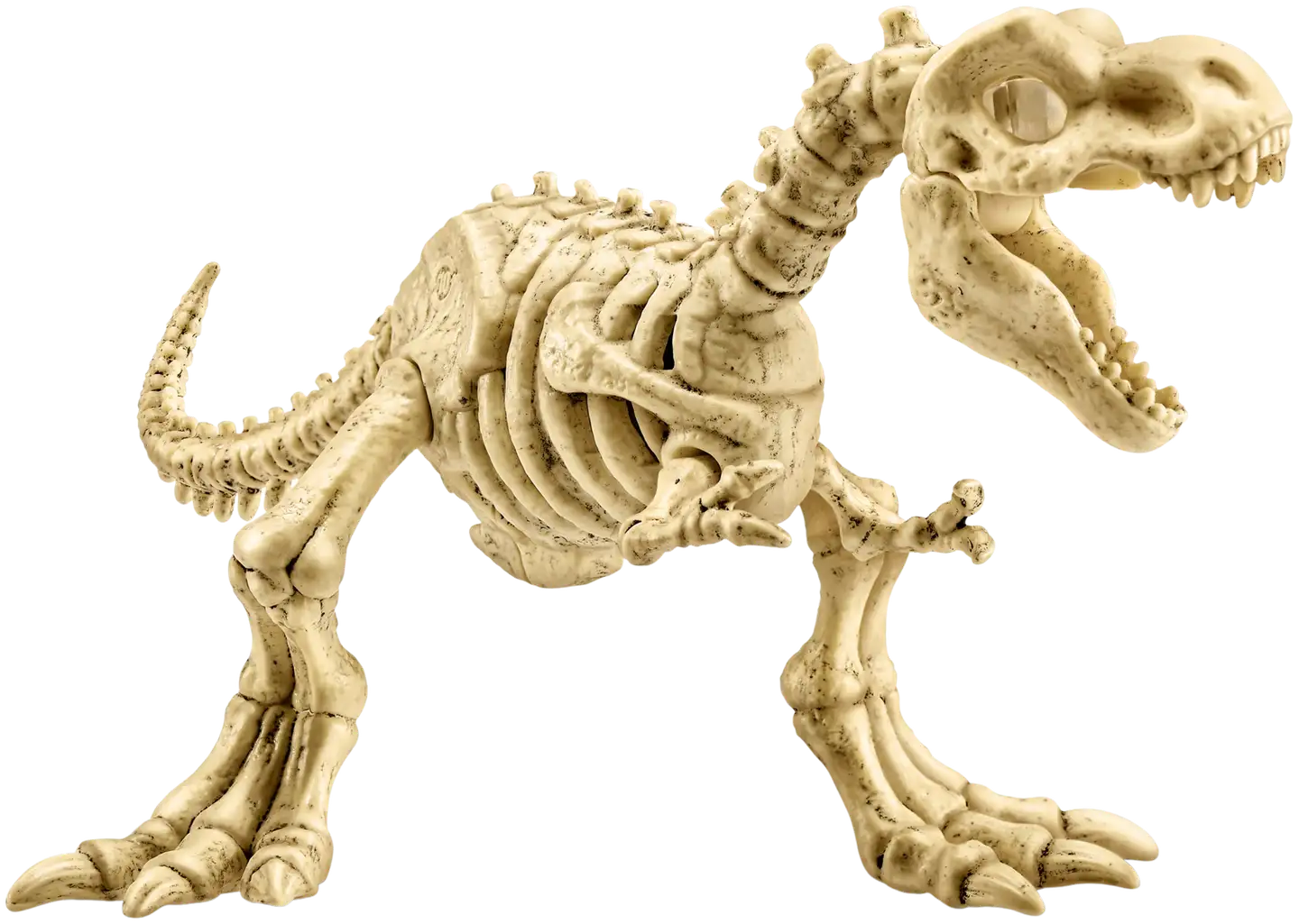 Robo Alive Fossil Find Amber Adventure - 6