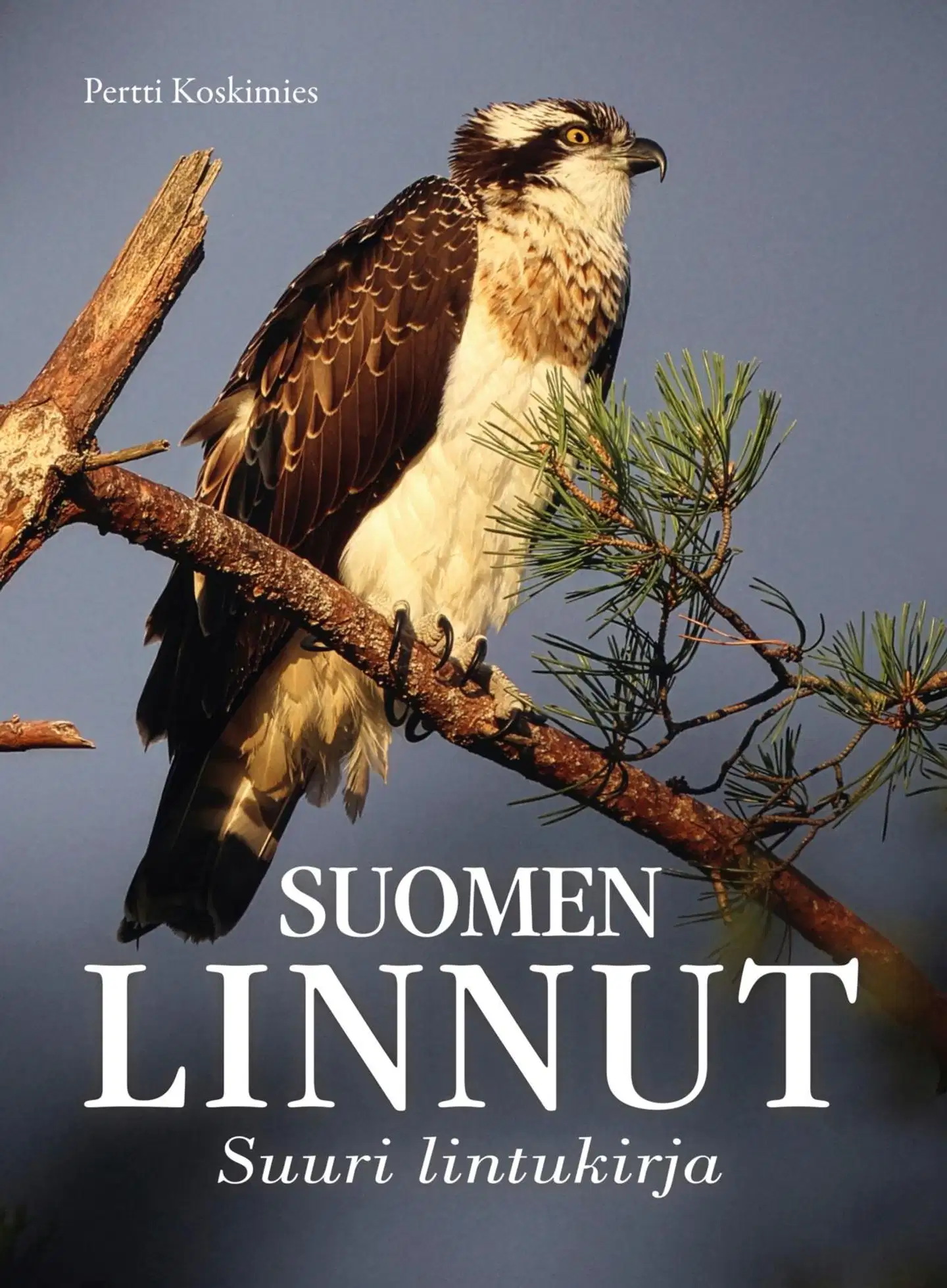 Koskimies, Suomen linnut - Suuri lintukirja