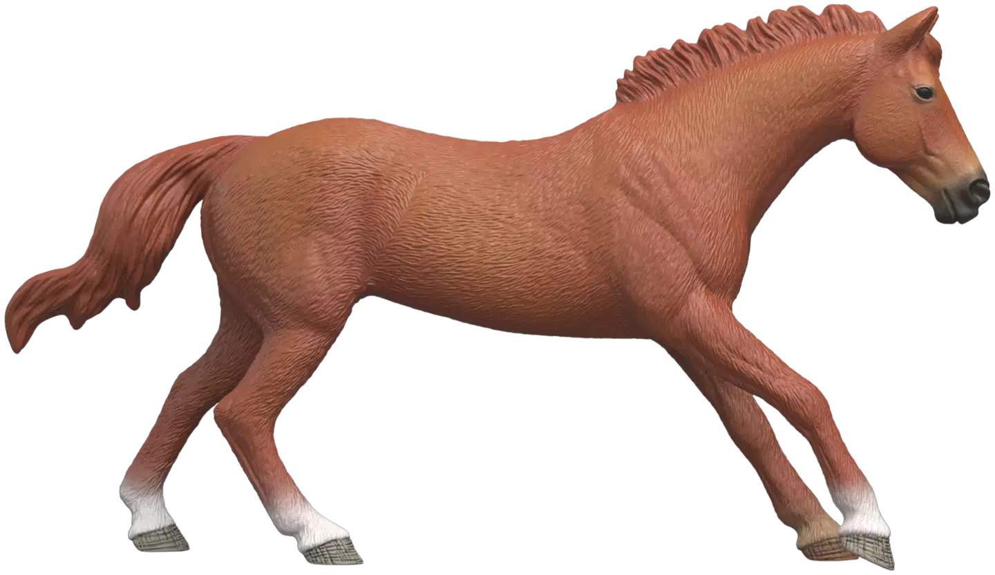 Schleich Englannintäysverinen ori - 4