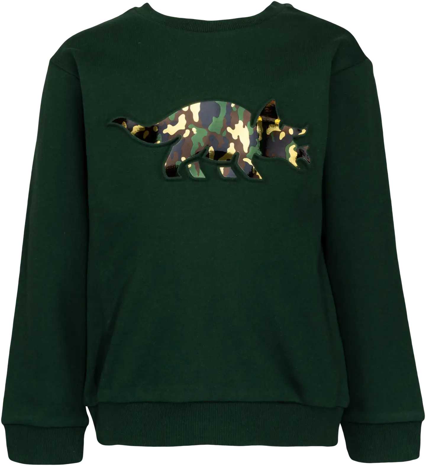 Ciraf lasten collegepusero Kohosaurus 25PC234025 - Green