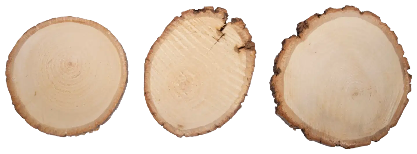 Rayher Hobby puinen levy pyöreä, 10-12cm ø, nippu 3kpl - 2