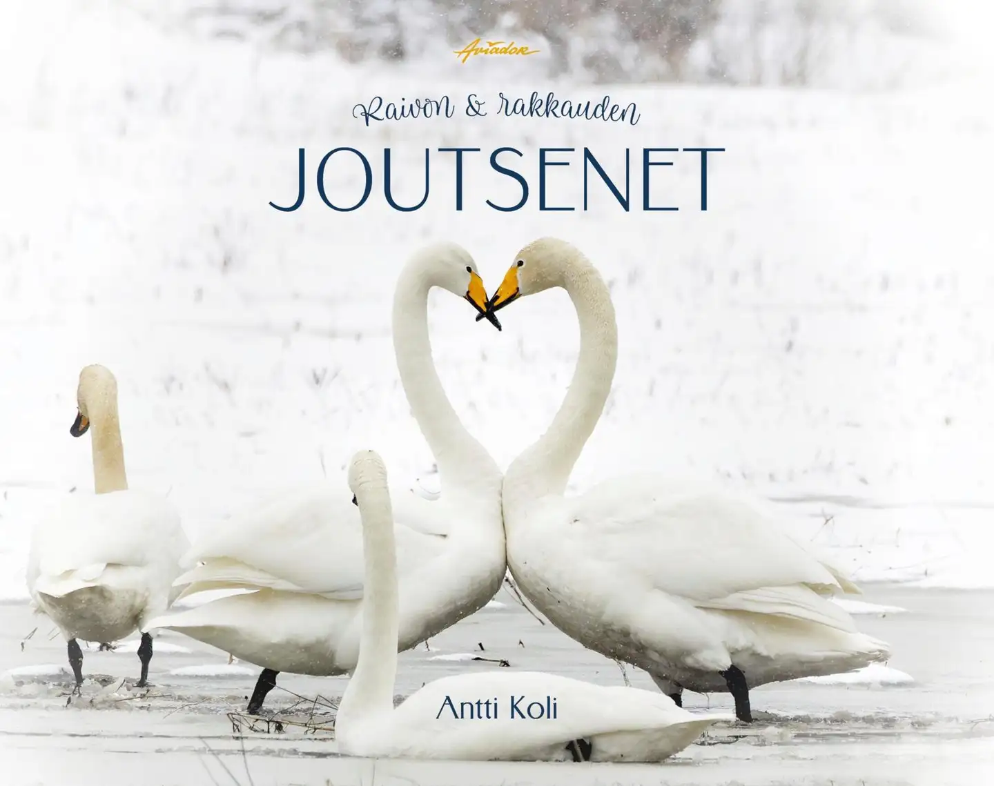 Koli, Raivon ja rakkauden  joutsenet