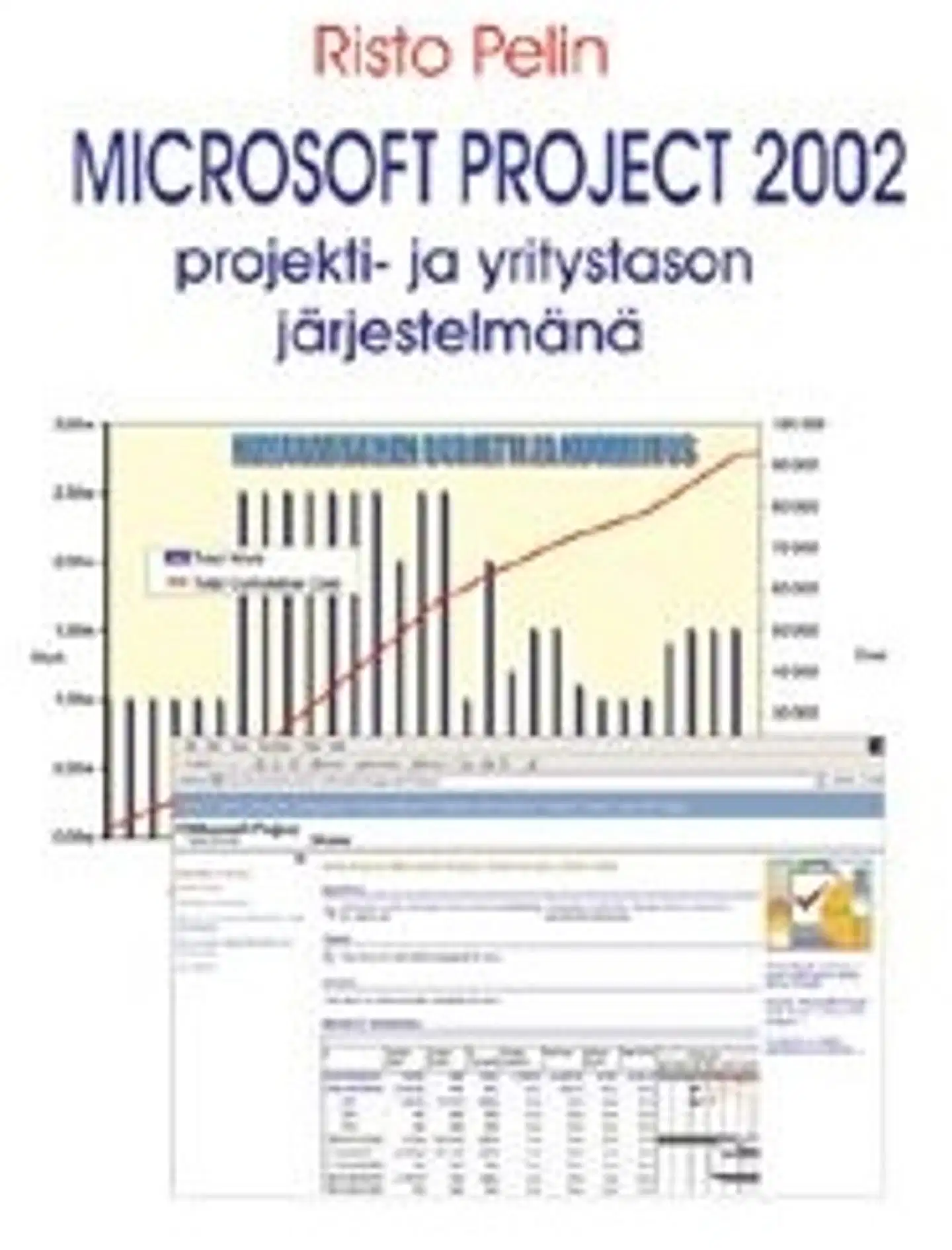 Pelin, Microsoft project 2002 projekti- ja yritystason järjestelmänä