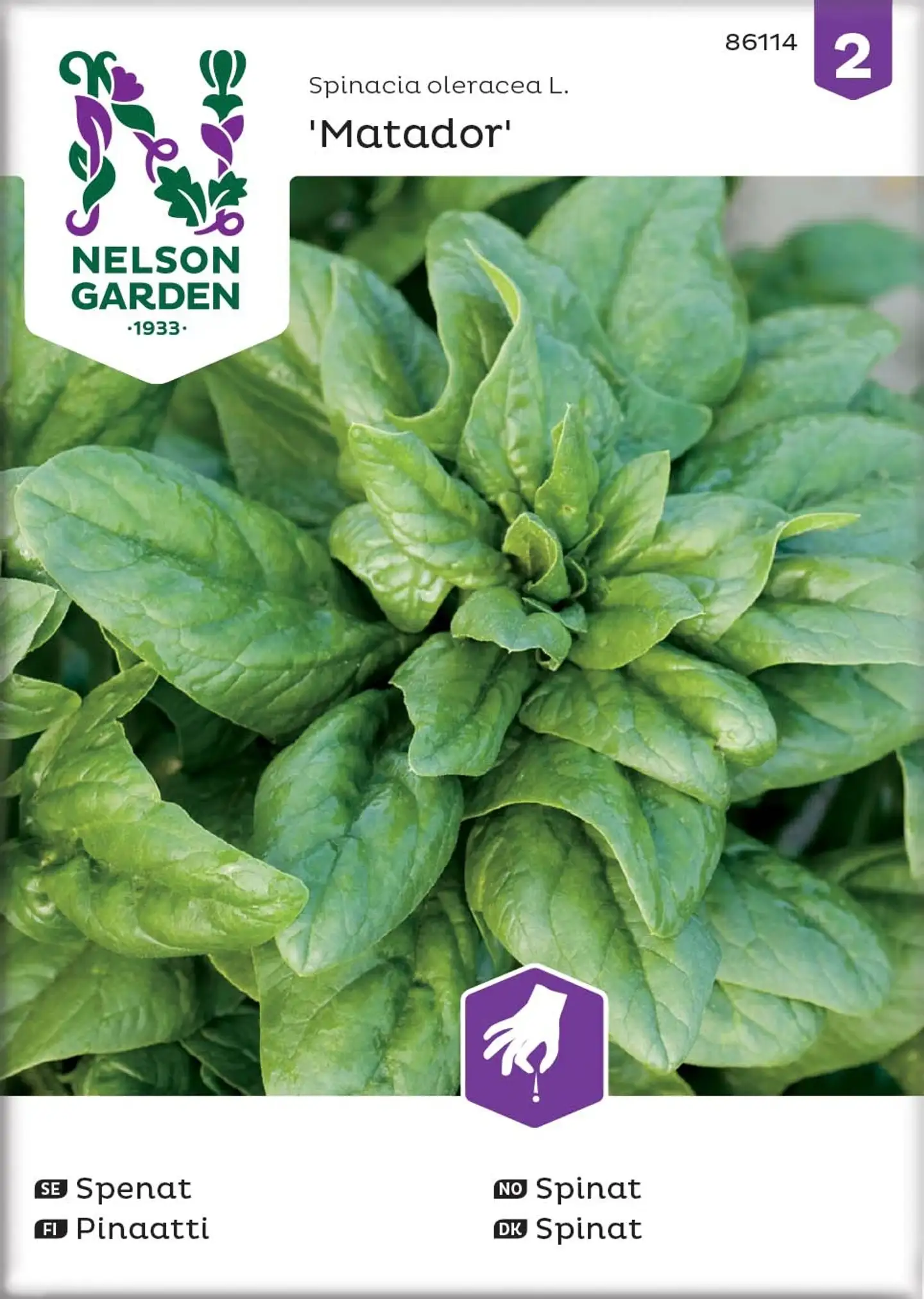 Nelson Garden Siemen Pinaatti, Matador