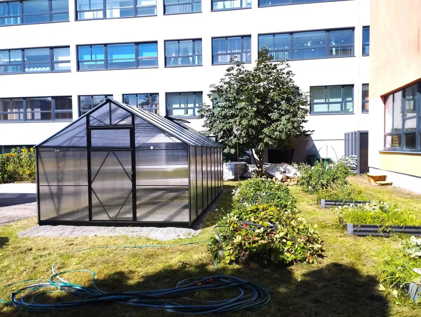 Ecoslider kasvihuone Lux 3.0 X 5.5 - 6