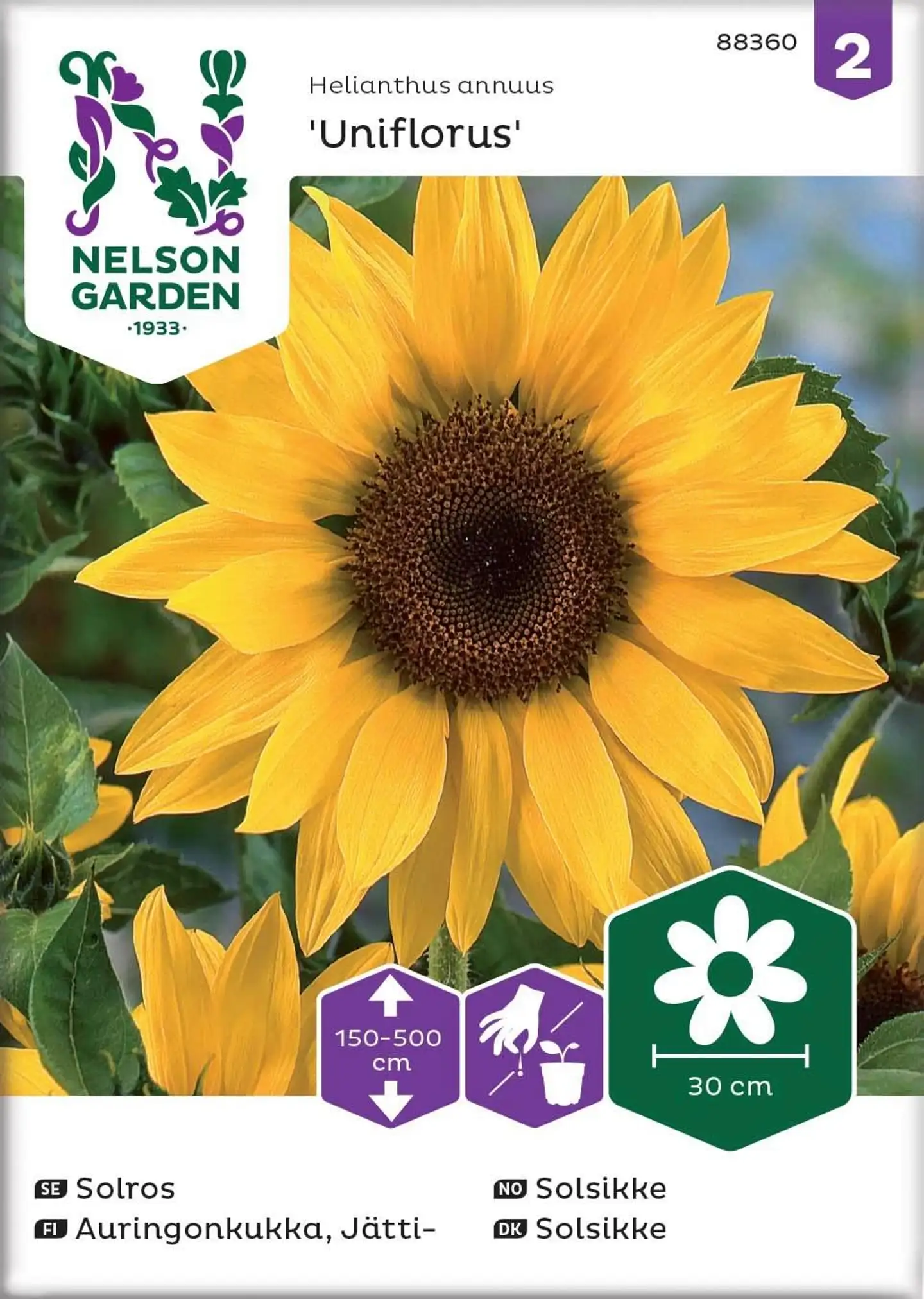 Nelson Garden Siemen Auringonkukka, Jätti-, Uniflorus