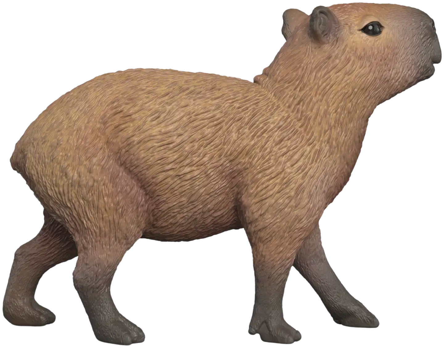 Schleich Capybara - 3