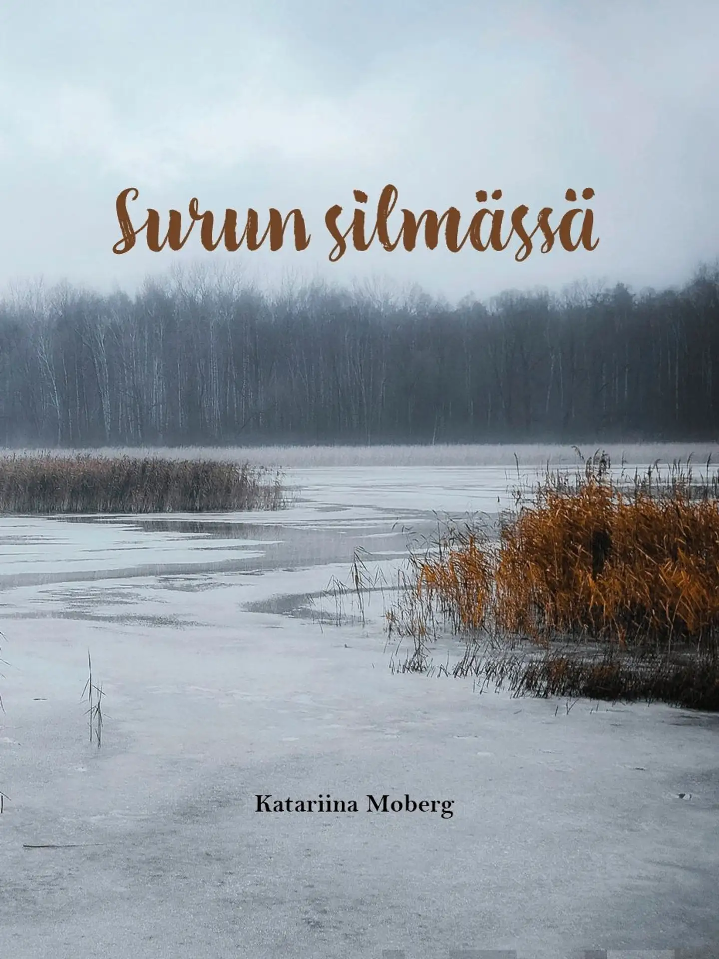 Moberg, Surun silmässä