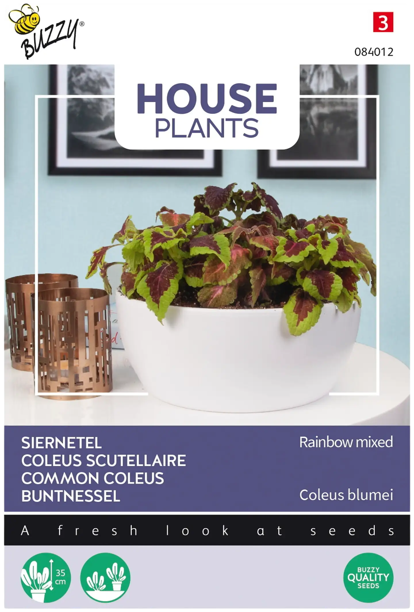 Buzzy® House Plants Coleus Rainbow mix, isokirjopeippi