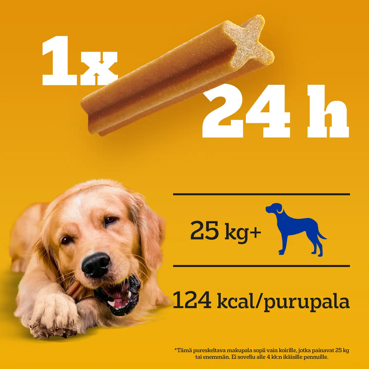 Pedigree Dentastix Large Monipakkaus 3x270g - 5