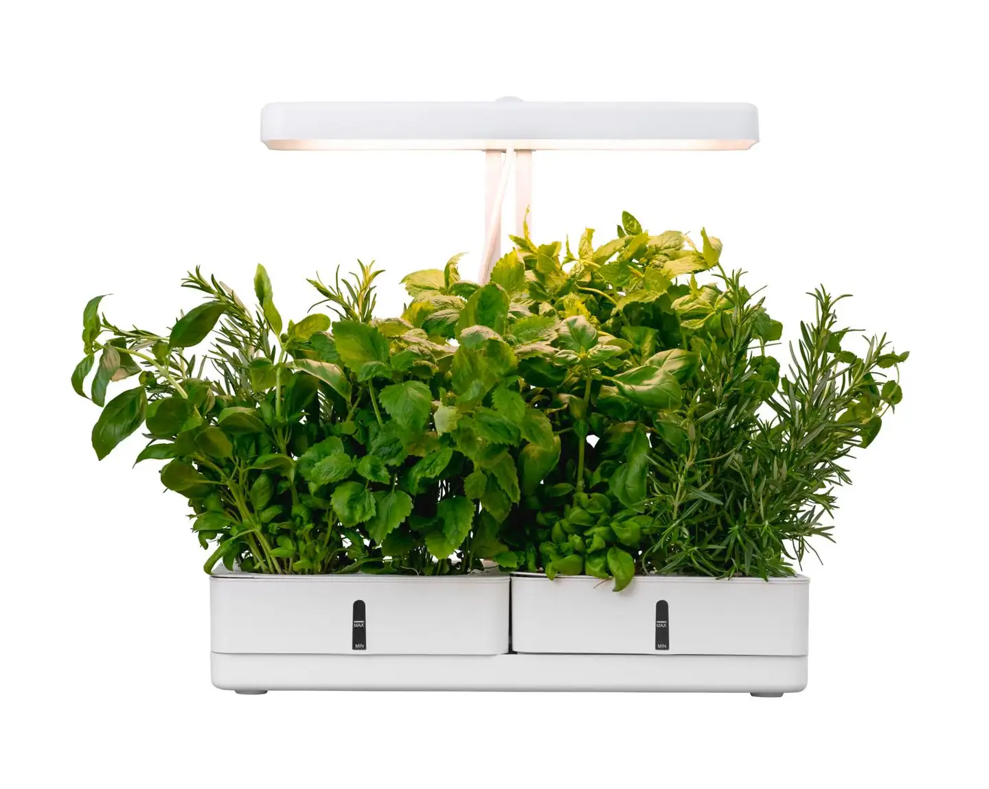 Airam KASVIVALO DAISY 20W/835 1350LM - 7