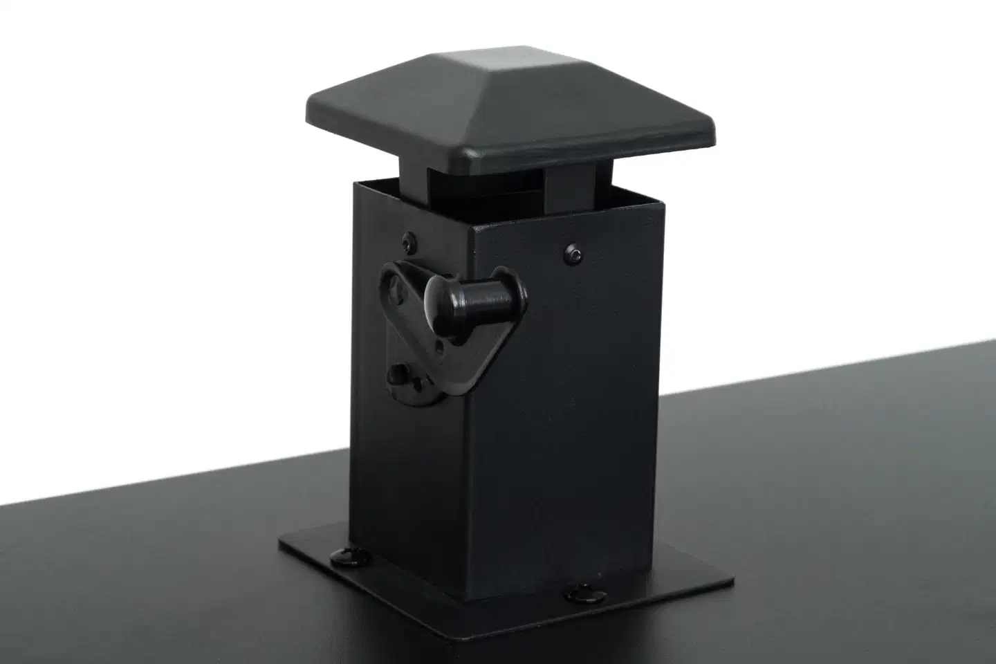 Mustang kaasusavustin Teno - 10