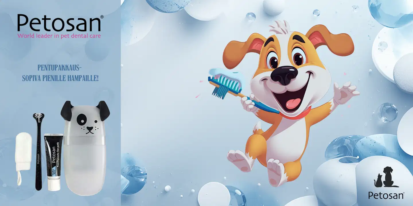 Petosan  - Pentupakkaus - 2