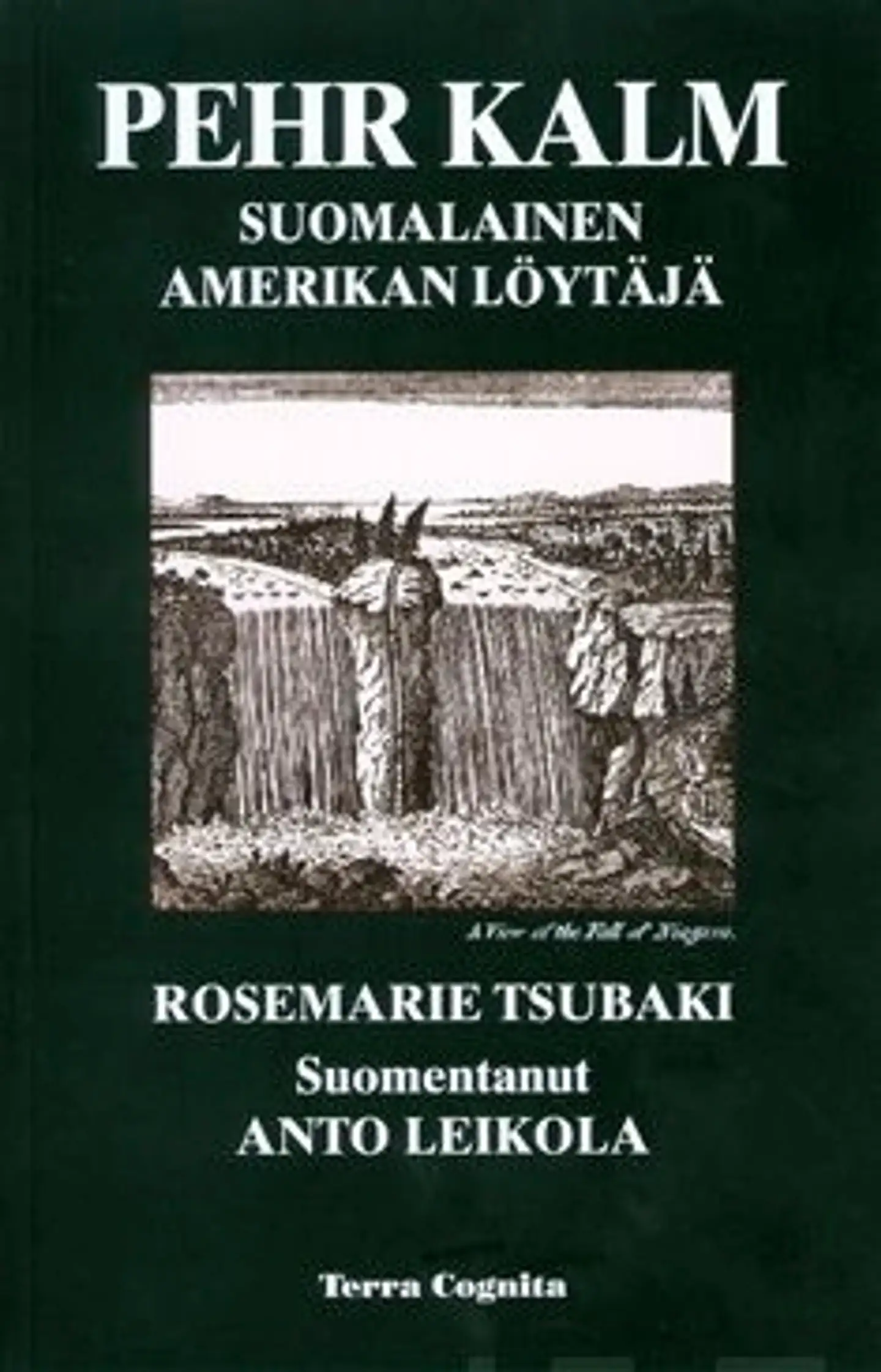 Tsubaki, Pher Kalm, suomalainen Amerikan löytäjä