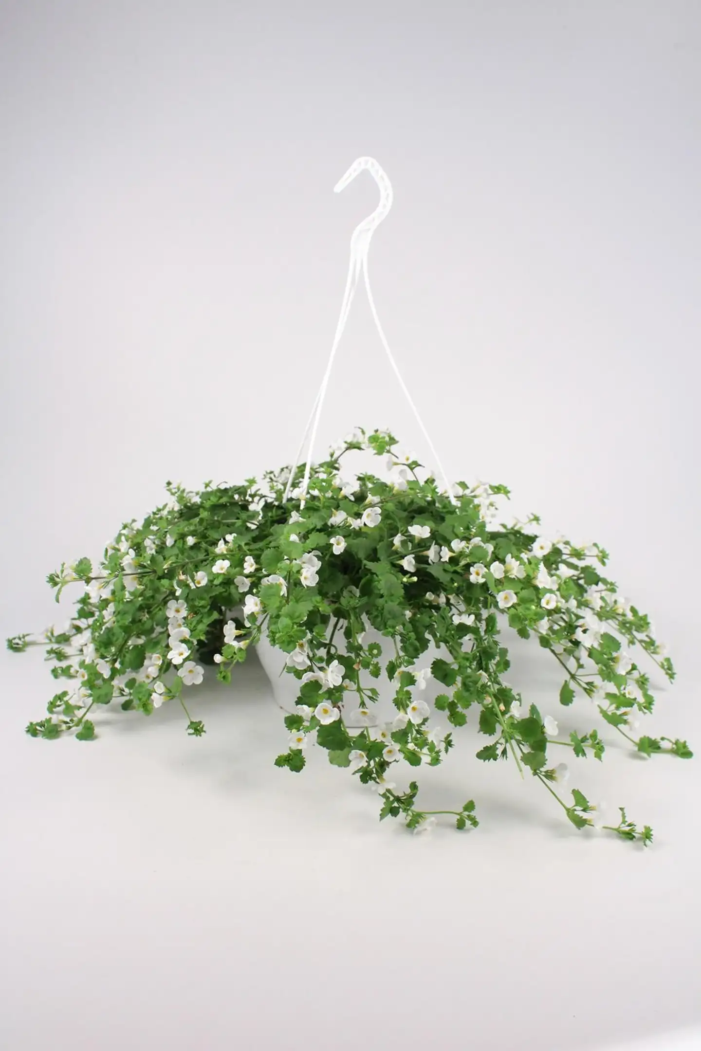 Lumihiutaleamppeli 23 cm - 4