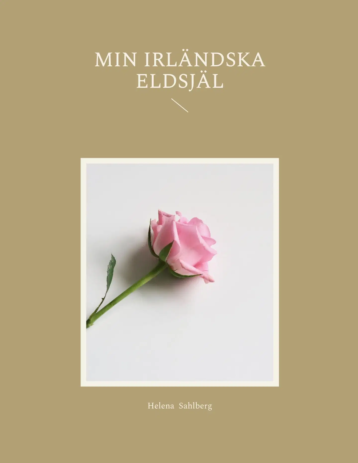 Sahlberg, Min irländska eldsjäl