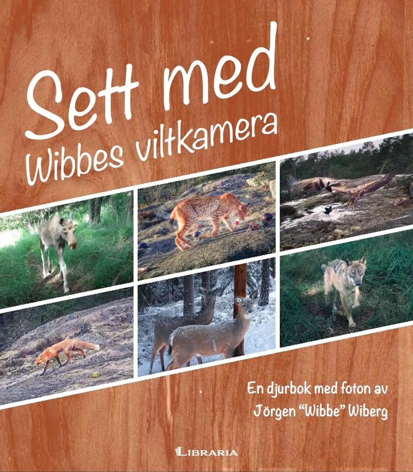 Sett med Wibbes viltkamera