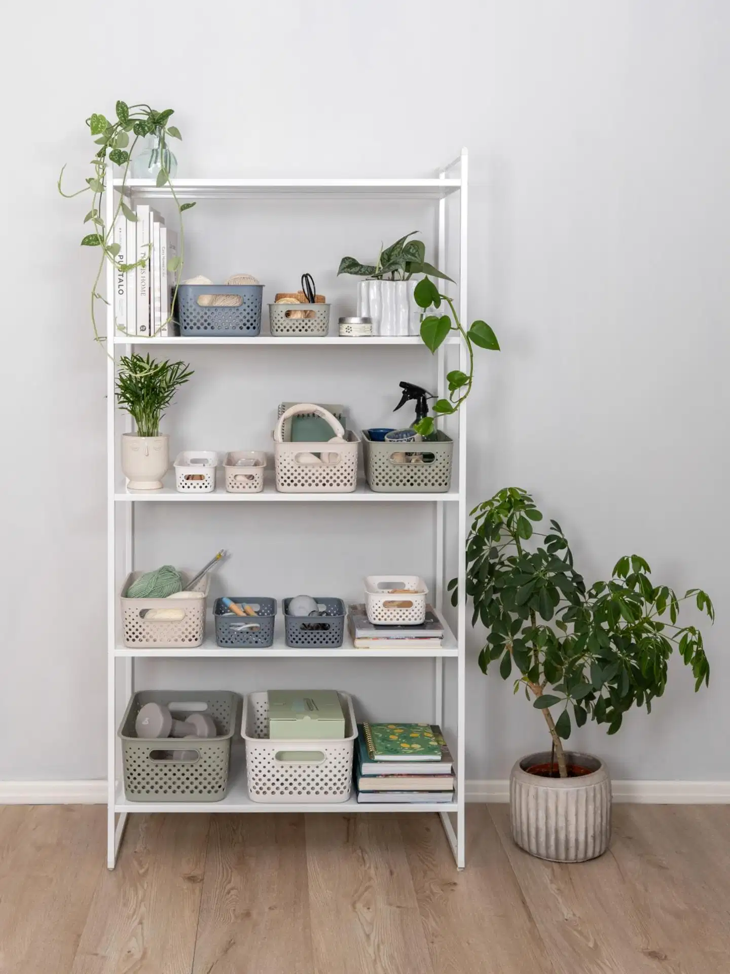 SmartStore™ säilytyskori Essence M - 2