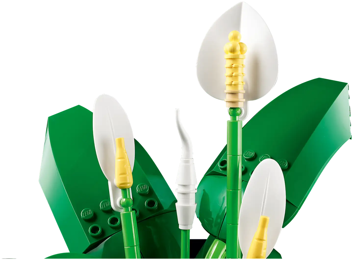 LEGO® Botanicals 11504 Viirivehka - 5