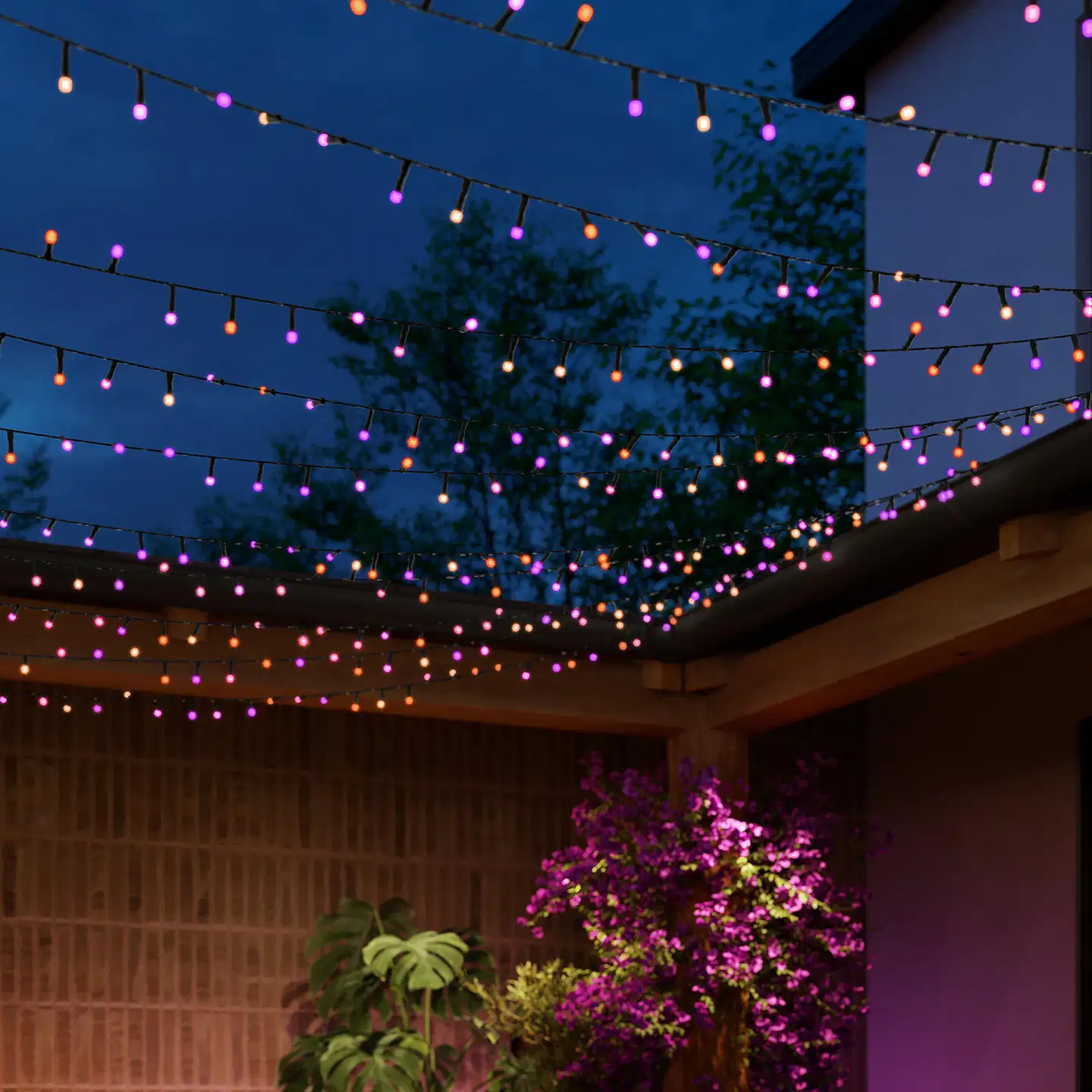 Philips Hue Festavia valosarja 500 LEDiä sisä- ja ulkotiloihin - 7