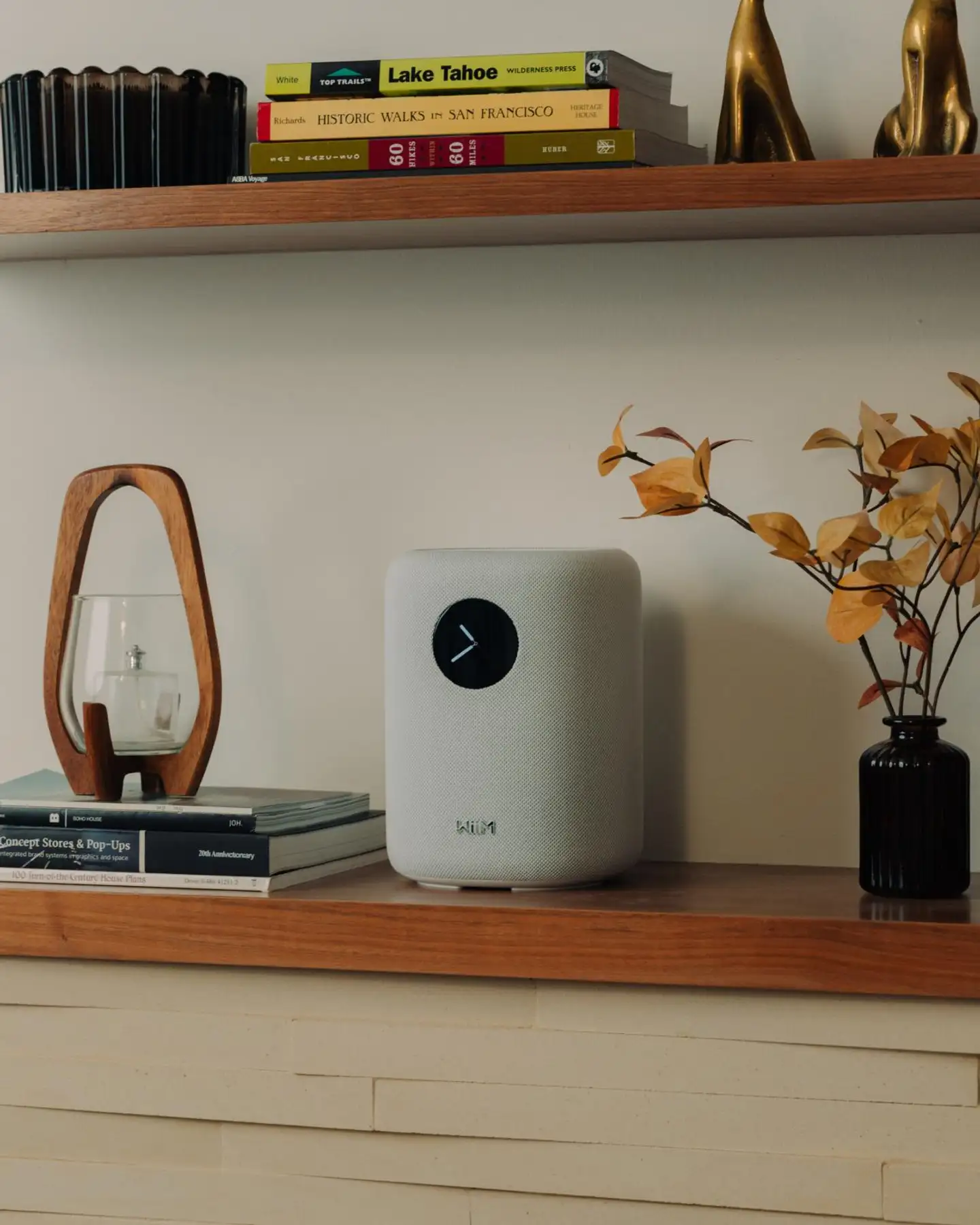 WiiM Sound älykaiutin, valkoinen - 3