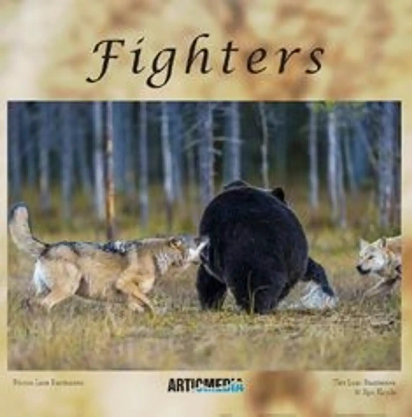 Rautiainen, Fighters