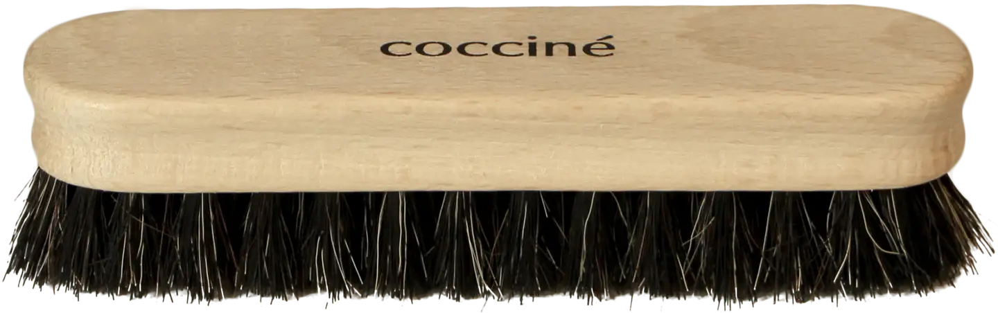 Coccine kenkäharja