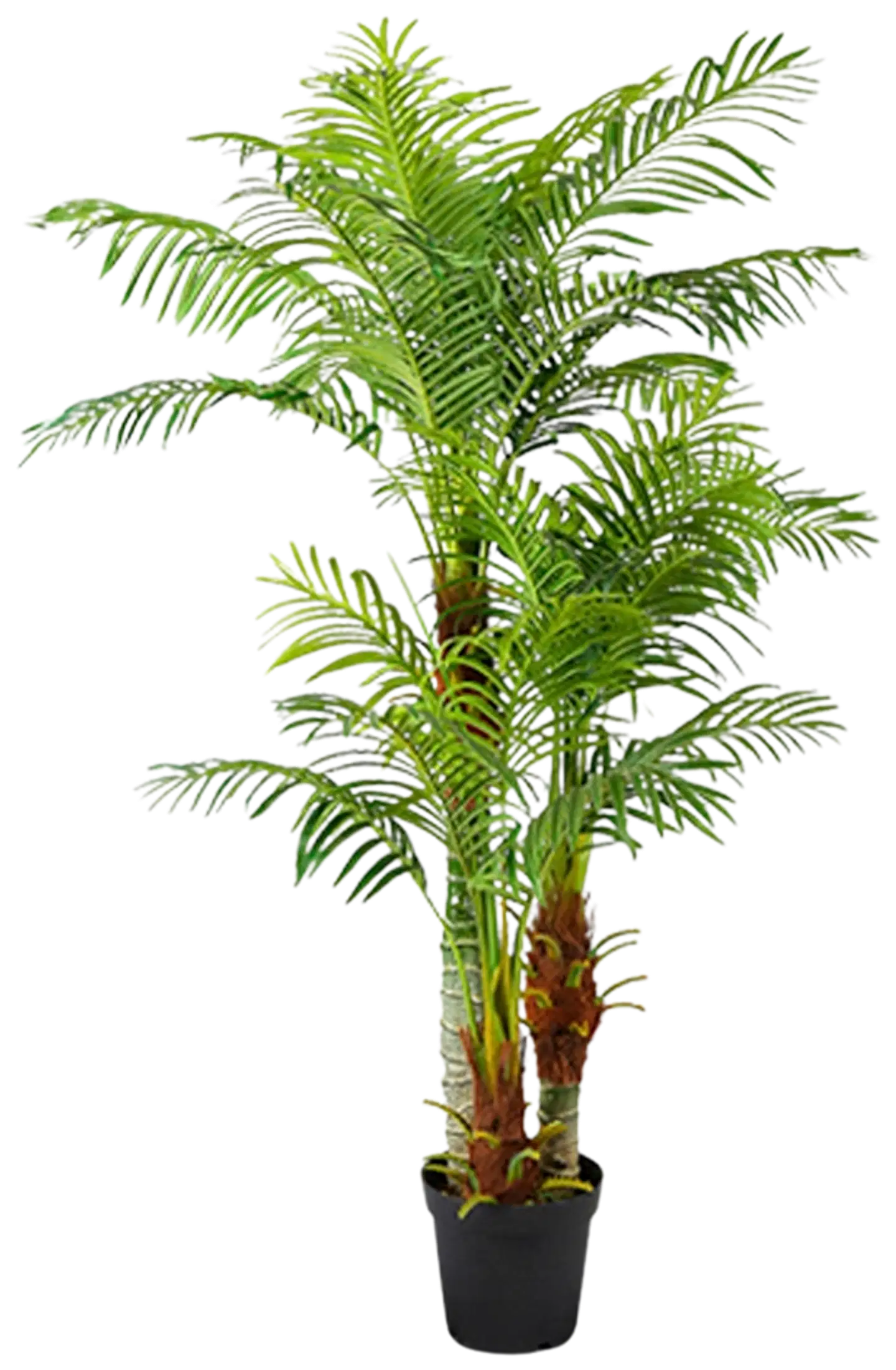 Lykke tekokasvi areca palm 180cm - 5