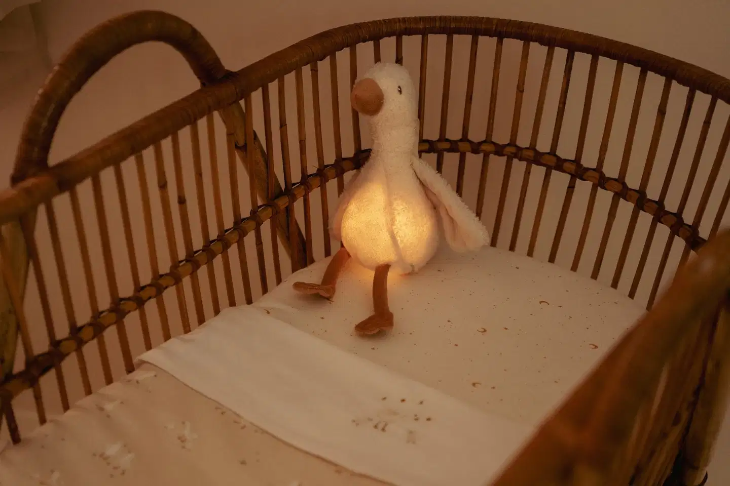 Yövalo musiikilla Newborn Little Goose - 4