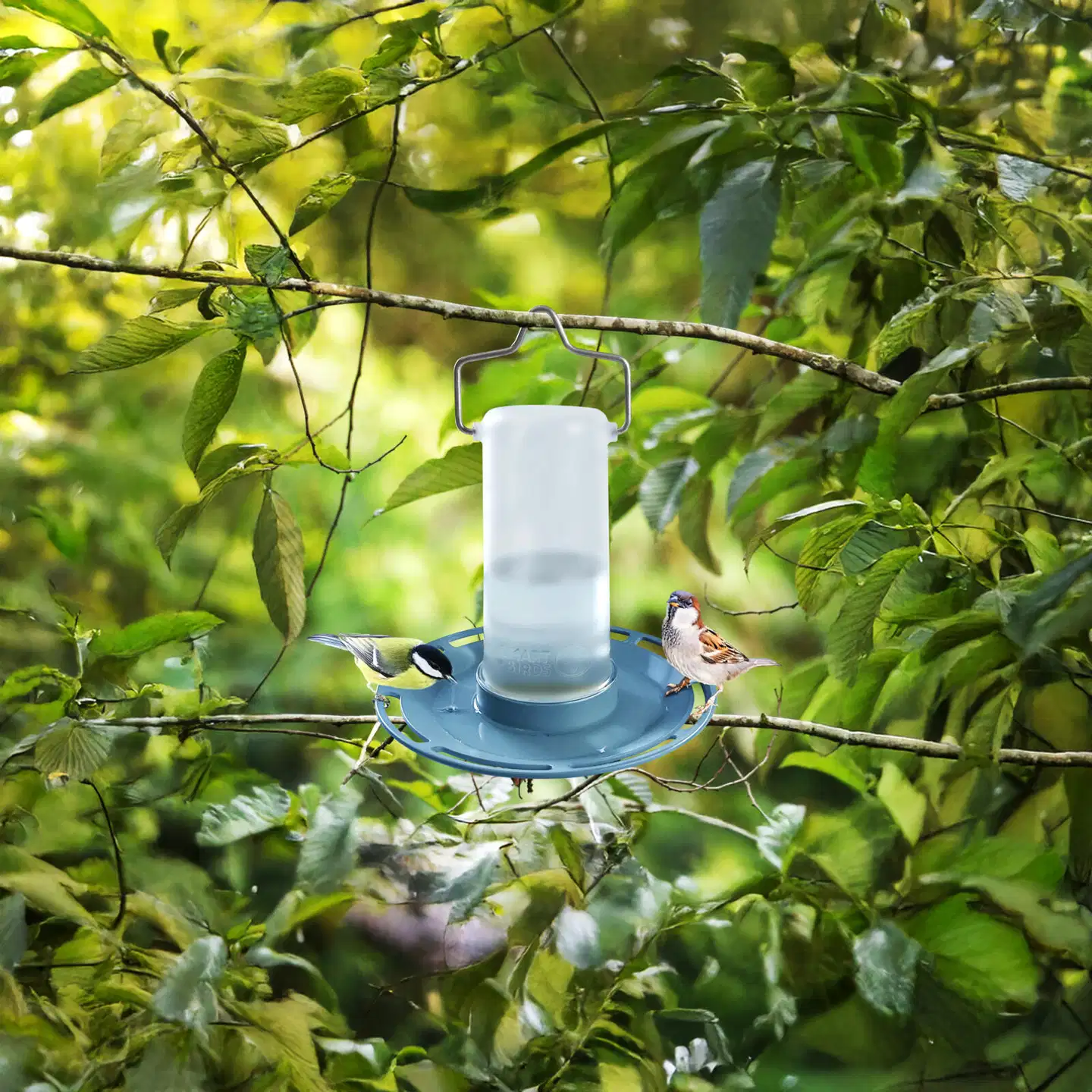 Swissinno Lintujen juottolaite SMART BIRDS Zug vaaleansininen - 7