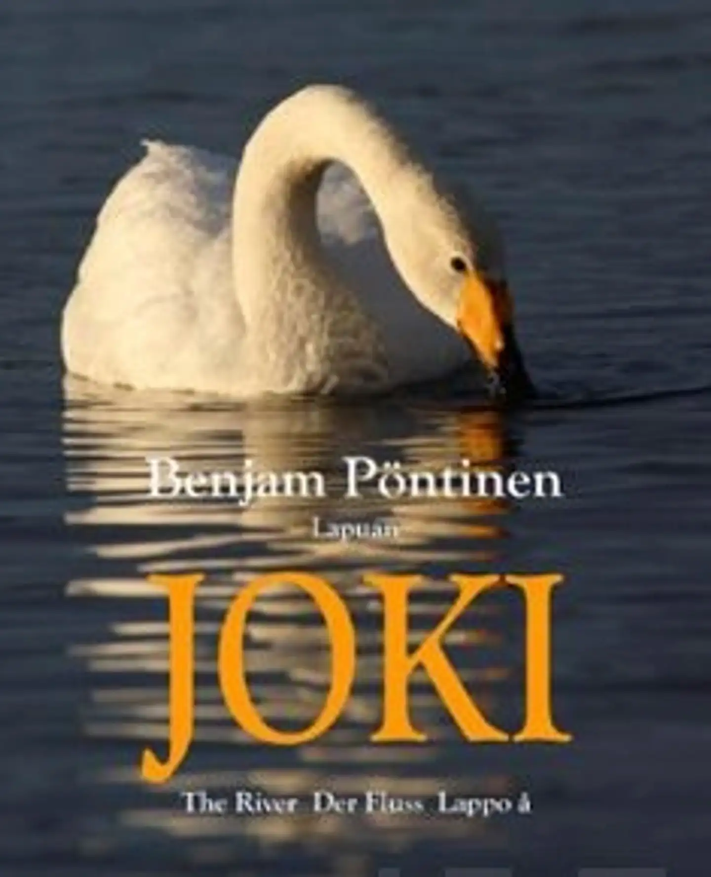 Lapuan joki